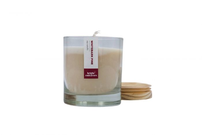 Whitebark Pine candle